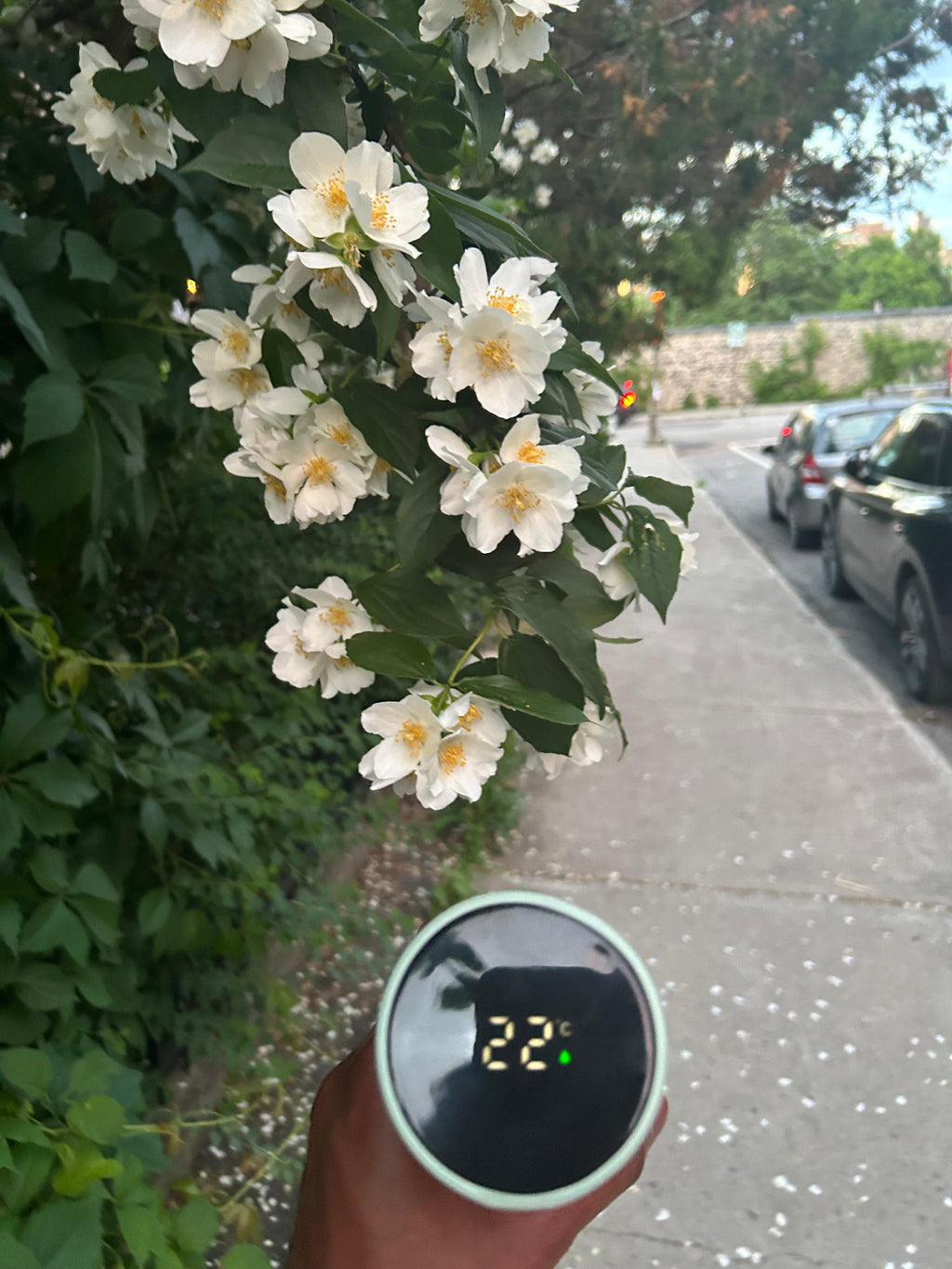 Nüflow Smart Thermos